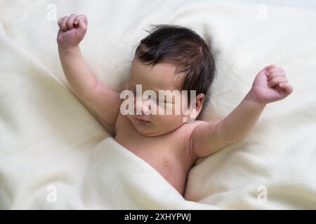 Portrait of a cute newborn baby boy under a white blanket. The kid raised his hands up. Large lord поднял Stock Photo