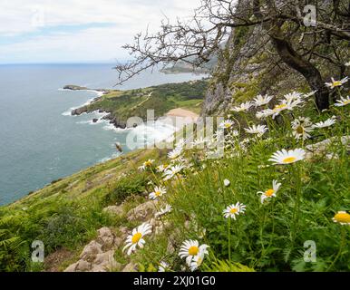 panoramic view of Sonabia bay Stock Photo