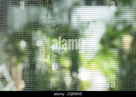 Torn window screen against blurred background, closeup Stock Photo