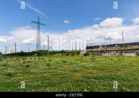 the Pionierpark in the Raderberg district of Cologne, Germany. The park is an interim solution. Parkstadt Sued is to be built here in the future on an Stock Photo