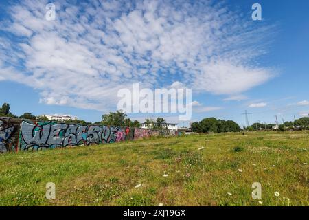 the Pionierpark in the Raderberg district of Cologne, Germany. The park is an interim solution. Parkstadt Sued is to be built here in the future on an Stock Photo