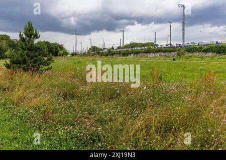 the Pionierpark in the Raderberg district of Cologne, Germany. The park is an interim solution. Parkstadt Sued is to be built here in the future on an Stock Photo