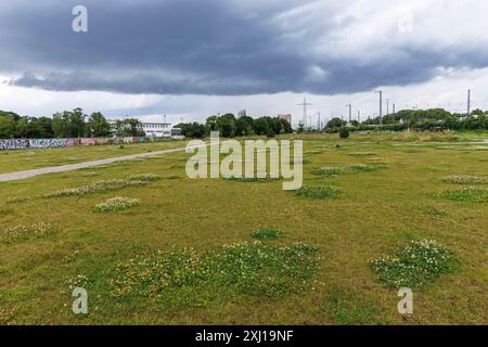 the Pionierpark in the Raderberg district of Cologne, Germany. The park is an interim solution. Parkstadt Sued is to be built here in the future on an Stock Photo