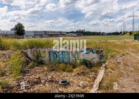 the Pionierpark in the Raderberg district of Cologne, Germany. The park is an interim solution. Parkstadt Sued is to be built here in the future on an Stock Photo