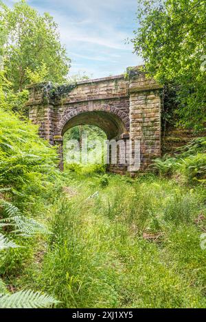 Mireystock Bridge (opened in 1874) on a mineral railway line in the Forest of Dean near Brierley, Gloucestershire, England UK Stock Photo