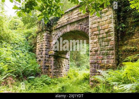 Mireystock Bridge (opened in 1874) on a mineral railway line in the Forest of Dean near Brierley, Gloucestershire, England UK Stock Photo