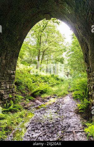 A view of Mireystock Bridge from the entrance to Mierystock Tunnel (1874) on a mineral railway line in the Forest of Dean near Brierley, Gloucestershi Stock Photo