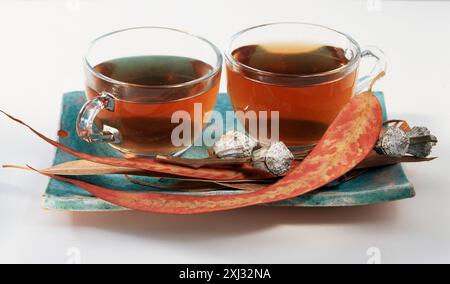 Eucalyptus infusion Stock Photo