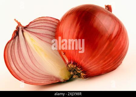 Red onion cut in half Stock Photo