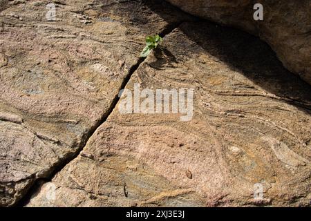 The Granite block is part of the ancient Tanzanian Craton. Near the fault line marking the boundary with the Great Rift Valley the Granite is changed Stock Photo