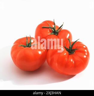 Tomatoes Stock Photo