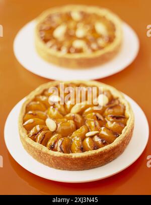 Apricot tarts Stock Photo