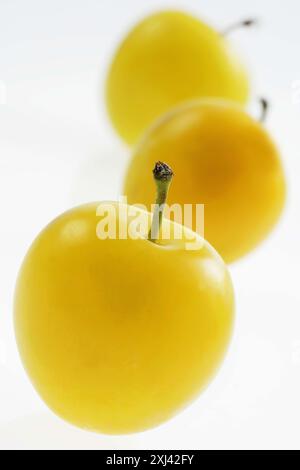 Mirabelle yellow plums Stock Photo