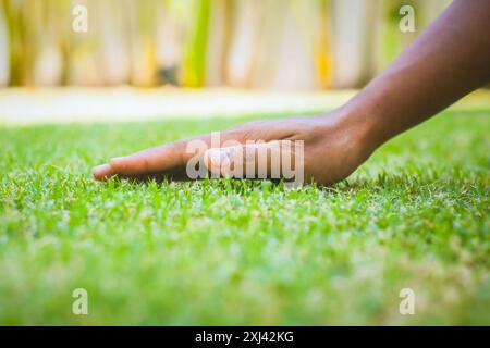 Male farmer strokes manicured lawn with his palm. Man's hand touches the green grass on the field. Stock Photo