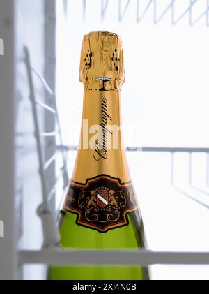 Champagne bottle in the fridge Stock Photo
