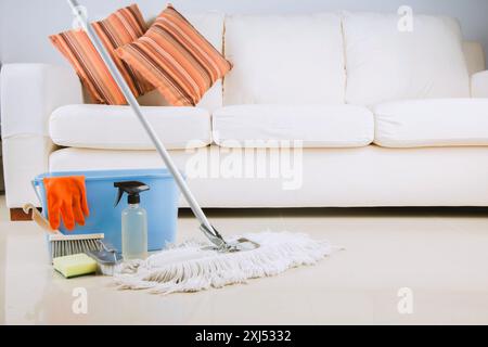 Collection of cleaning products and tools in living room Stock Photo