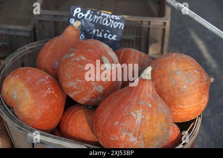 Hamper of pumpkins at the market Stock Photo