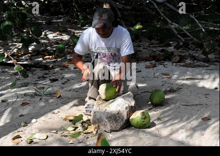 Mayan sites of Tulum, 1200-1524, Tulum, Quintana Roo, Mexico, Central America, Man opening coconuts with a knife on a sandy beach in the shade Stock Photo