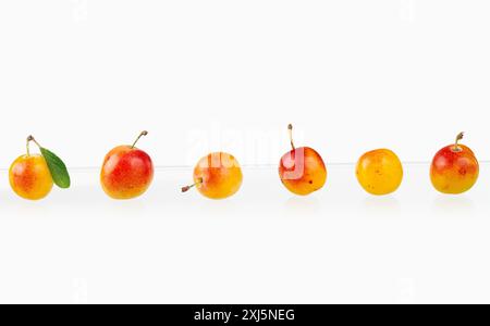 Mirabelle plums Stock Photo