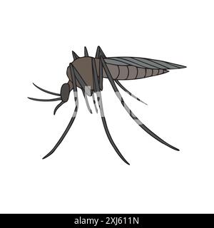 Vector hand drawn doodle sketch colored mosquito isolated on white background Stock Vector