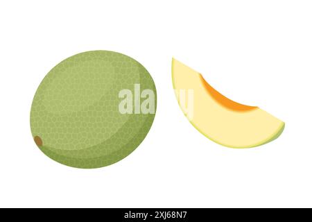 Isometric Cavaillon Melon, Cucumis melon, Fruit. It is a healthy and nutritious food. Ripe fruit Stock Vector