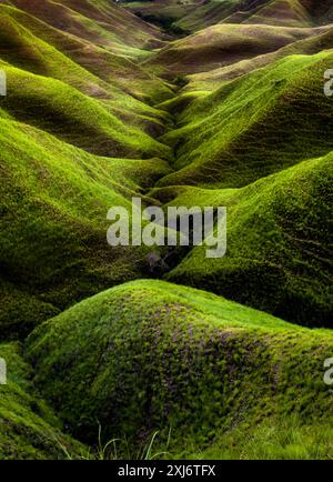 Aerial view of lush green rolling fields divided by traditional stone ...