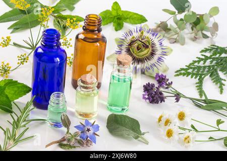 Aromatherapy anbience with small bottles of essential oils,healing flowers and plants on a white background Stock Photo