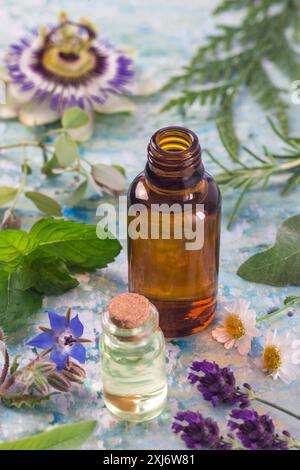 Aromatherapy anbience with small bottles of essential oils,healing flowers and plants Stock Photo