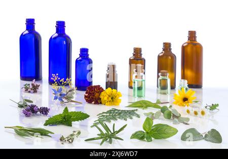 Aromatherapy anbience with small bottles of essential oils,healing flowers and plants on a white background Stock Photo