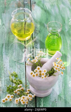Aromatherapy anbience with camomile flowers,mortar,pestle,funnel and small bottles of essential oils Stock Photo