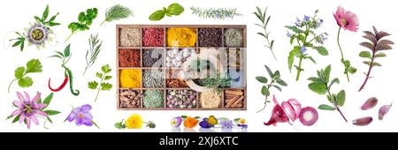 Composition with spice rack,mortar,pestle and an assortment of flowers and plants on a white background Stock Photo