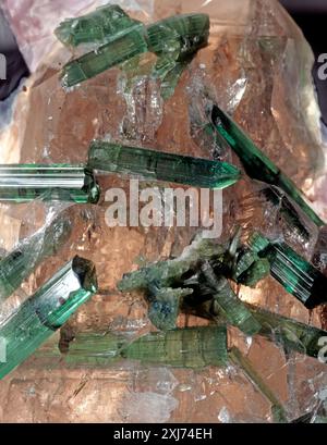 Elongate prismatic crystals of clear green tourmaline embedded in quartz. Tourmaline is a boron-silicate mineral of variable colour, some of which are much sought after as semi-precious gemstones. It usually occurs in igneous rocks. Common varieties are elbaite, schorl (opaque and pitch black) and dravite, honey-brown and semi translucent. Actual height of specimen is 85 mm. Stock Photo