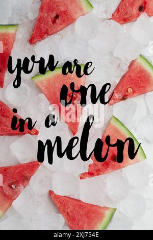 flat lay with sweet red watermelon slices lying on ice cubes, with inspection Stock Photo