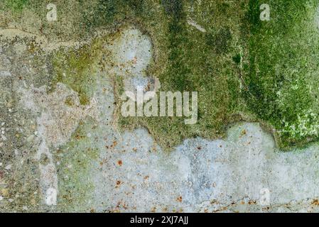 Cracked Old Green Mossy Concrete Wall Texture Background Detail Stock Photo