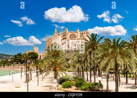 Palma de Mallorca - Parc de la Mar with La Seu Cathedral and Almudaina Palace in the background Stock Photo