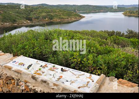 Information board about birds in the lagoon of s Albufera des Grau Natural Park, Menorca, Balearic Islands, Spain, Mediterranean, Europe Copyright: GO Stock Photo