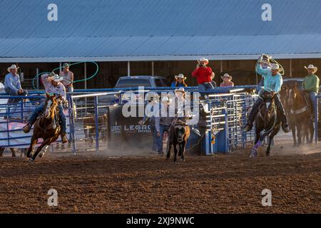 Ropers chase a calf in the team roping event in a rodeo in a small town in rural utah. Stock Photo