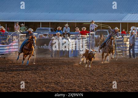 Ropers chase a calf in the team roping event in a rodeo in a small town in rural utah. Stock Photo