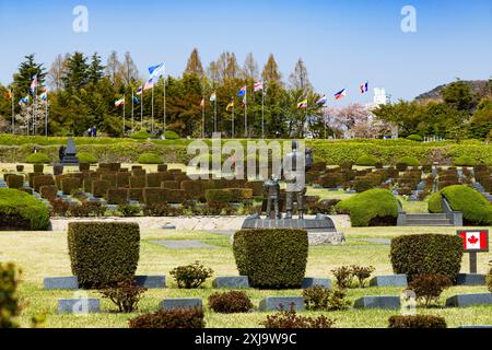 UN Memorial Cemetery, Busan, South Korea, Asia Copyright: IanxTrower 800-4163 Stock Photo