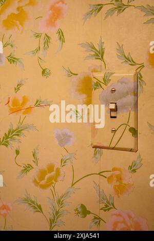 Clear plastic Light switch surround and switch on a floral patterned wall papered wall in a home. Stock Photo