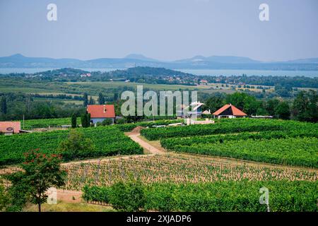 Beautiful Balaton panorama, with fields and houses in the foreground, in Balatonlelle Stock Photo