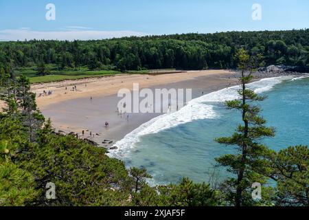 Tourists on Sand Beach in Acadia National Park, Maine Stock Photo