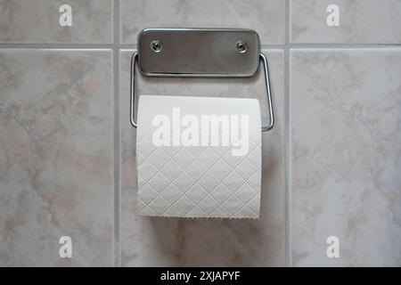 roll of toilet paper in holder on tiled wall Stock Photo