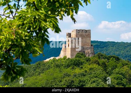 RuThe ruins of the medieval castle in Cesznek on top of a green hillhill Stock Photo