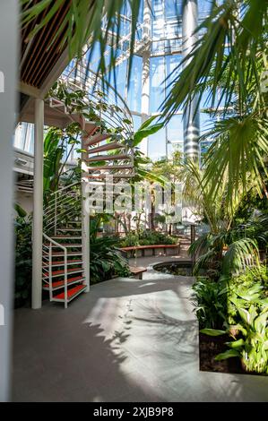 Beautiful tropical plants growing in a large greenhouse. Narrow spiral stair. Tropical greenhouse in Tallinn, Estonia. Stock Photo