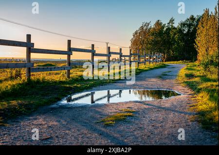 A footpath with puddles running along the fence. Hiking trail in Paljassaare, Tallinn,  Estonia. Stock Photo