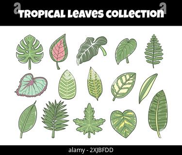 Tropical leaves set vector illustration Stock Vector
