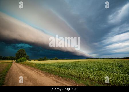 Super shelf, arcus storm cloud over the fields in summer Stock Photo