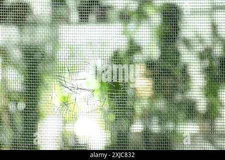 Torn window screen against blurred background, closeup Stock Photo