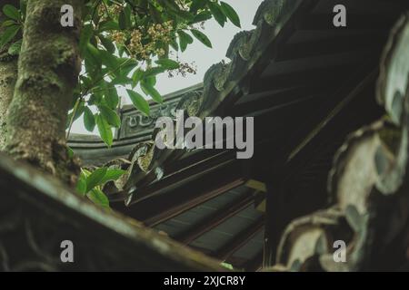 A low-angle view of the traditional Chinese roofline of a building in Yu Garden, Shanghai. Stock Photo